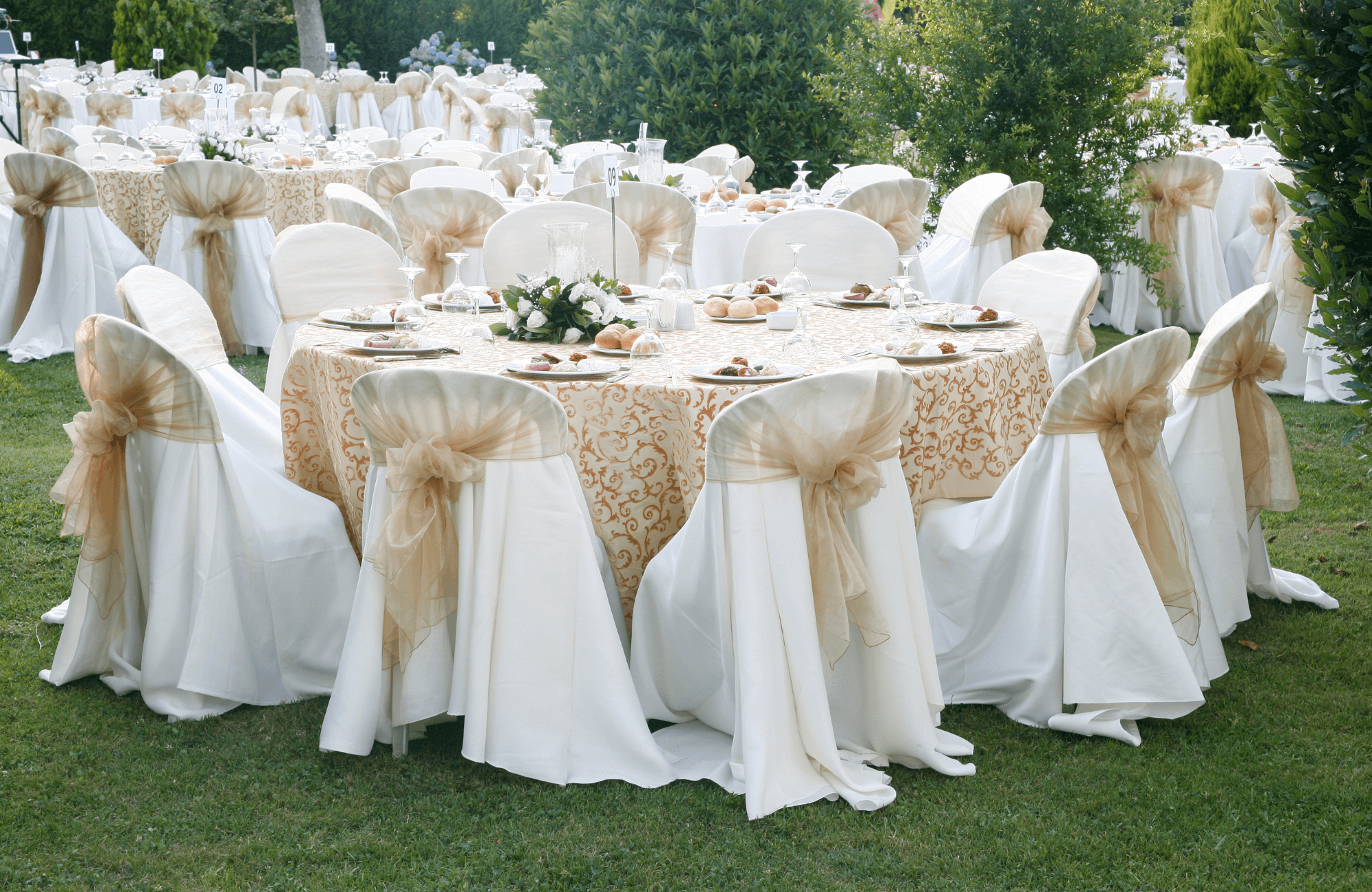 Rental & Linens